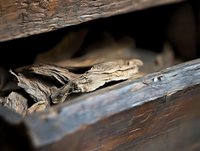 Weathered wooden beams with peeling layers and rough texture create dramatic shadows and depth, showing natural aging and decay in architectural detail.