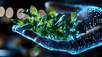 Digital hologram of glowing blue hand holding fresh green sprouts against dark background, representing biotechnology and sustainable future in agriculture.