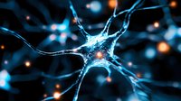 Glowing blue neuron cell with synaptic connections on dark background, neural network visualization showing electrical impulses and brain activity in microscopic detail.