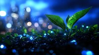 Young green plant sprout growing from soil against dark blue bokeh background with water drops and magical sparkle effects, nature growth concept.