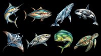 Eight detailed ocean creatures including marlin, tuna, whale, orca, manta ray, shark, mahi-mahi, and sea turtle, isolated on transparent background, ready for stickers, t-shirt design, and print on demand.