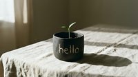 Small green sprout growing in a dark ceramic pot with hello inscription, placed on linen fabric in warm natural sunlight.