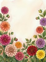 Colorful dahlia flowers frame border with vintage botanical illustration style on textured paper background for wedding invitations and greeting cards.