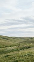 Rolling green hills with wooden fence winding through pastoral landscape under cloudy sky. Serene countryside scenery ideal for travel, agriculture, and nature editorial use.