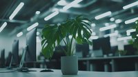 Monstera deliciosa plant in gray pot on office desk with blurred modern workspace background and fluorescent lighting creates peaceful atmosphere.