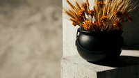 Dried wheat stalks arranged in black ceramic bowl on concrete surface with warm sunlight and shadows creating rustic autumn harvest decoration.