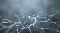 Glowing neural network with interconnected nodes and synapses on a dark blue misty background, representing brain activity and artificial intelligence.