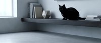 Black cat sitting on modern floating shelf in minimalist interior with books and decorative objects creating cozy home atmosphere for pet lifestyle content.