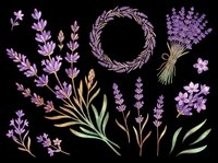 Lavender botanical clipart set with wreath, bouquet, branches, and blooms, isolated on transparent background. Great for stickers, t-shirt design, and print on demand.