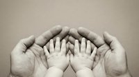 Adult hands protectively cupping small child hands in caring gesture symbolizing safety, protection, family support and nurturing care concept.