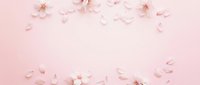 Delicate pink cherry blossom petals scattered on soft pink background creating romantic spring frame with copy space for wedding invitations.