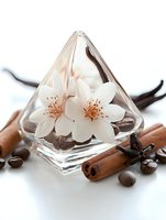White jasmine flowers in glass pyramid vase with aromatic cinnamon sticks, vanilla pods, star anise and coffee beans on white background, spa and wellness concept.