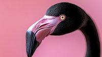 Black flamingo head with curved beak on pink background isolated for creative design projects and tropical themed artwork.