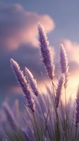 Delicate purple pampas grass plumes against sunset sky with soft pink clouds, creating dreamy atmospheric nature scene for wellness and meditation designs.