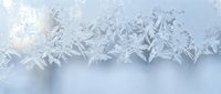 Delicate frost patterns create intricate crystalline formations on glass surface with soft blue tones and natural ice textures for winter seasonal designs.