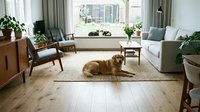 Cozy modern living room interior with golden retriever dog lying on woven rug, featuring mid-century furniture, houseplants and natural light streaming through windows.