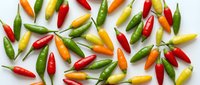 Colorful hot chili peppers in red, yellow, orange and green arranged on white background. Fresh spicy vegetables for cooking and seasoning isolated.