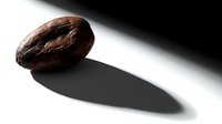 Cacao pod isolated on white background with shadow, raw cocoa fruit for chocolate production and culinary use.