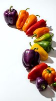 Colorful bell peppers in purple, orange, red, yellow, and green arranged in a curved line on white background with shadows, suitable for food, nutrition, cooking, and healthy eating concepts.