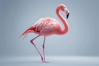 Pink flamingo standing gracefully on gray background, detailed feathers and elegant pose captured in studio lighting conditions, isolated bird figure.