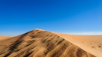 Vast golden sand dune under clear blue sky, showcasing rippled texture and natural desert landscape formation for travel and nature backgrounds.
