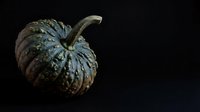 Textured pumpkin with weathered surface and stem isolated on black background, suitable for autumn harvest designs, fall decorations, and seasonal marketing materials.