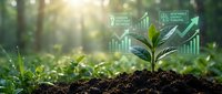 Young green plant growing from soil with glowing digital charts showing carbon footprint reduction and renewable energy funding in a sunlit forest.