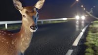 Young doe standing on dark highway at night with approaching car headlights in background, highlighting danger of wildlife crossing on rural roads.