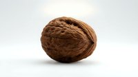 Whole walnut with textured shell isolated on white background, suitable for food, nutrition, and culinary design projects.