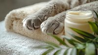 Gray cat paws on soft towel next to moisturizing cream jar and green plant leaves, creating relaxing spa and wellness atmosphere for beauty and skincare concept.