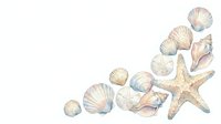 Isolated seashells and starfish arranged on white background, ready for design projects, invitations, and coastal-themed graphics.