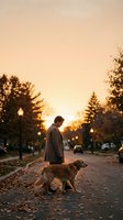 Young man walking golden retriever dog on autumn street at sunset with warm golden light and fallen leaves creating peaceful evening atmosphere.