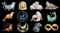 Seal lion otter marine mammal collection isolated on transparent background, ready for t-shirt design, clipart, stickers, print-on-demand products and sublimation projects.
