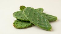 Fresh green nopal cactus pads with natural spines arranged on white background, traditional Mexican vegetable ingredient for authentic cuisine and healthy cooking.