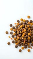 Mixed dry pet food kibble scattered on white background with copy space for animal nutrition and feeding concepts.