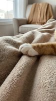 Ginger and white cat paw resting on cozy blankets with armchair and window in background, conveying comfort and relaxation at home.