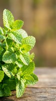 Fresh mint leaves with textured surface on wooden table with blurred natural background for culinary and herbal medicine applications.