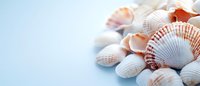 Seashells scattered on light blue background with copy space, natural beach treasures in soft pastel colors create serene coastal composition.
