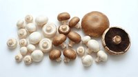 Fresh white and brown mushrooms arranged on white background, including whole and sliced varieties for cooking and culinary design projects.