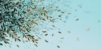 Olive tree branches with falling leaves against light blue background, creating serene Mediterranean atmosphere.