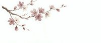 Delicate pink cherry blossom branch with soft petals on light background for spring designs, wedding invitations, and botanical decorations.