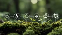 Young seedlings growing in moss with digital sustainability icons showing environmental conservation concepts and green technology solutions.