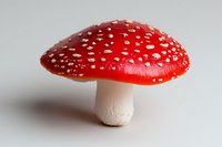 Red and white spotted mushroom amanita muscaria isolated on light background, detailed macro photography showing texture of wild forest fungus cap and stem.