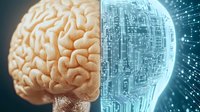 Conceptual split brain visualization showing organic human brain hemisphere transitioning into digital circuit patterns with glowing blue technology elements.