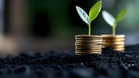 Small green plant growing from stack of coins in soil, symbolizing financial growth, sustainable investment and business development concept.