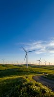 Wind turbines on rolling green hills with dirt road at sunset, representing renewable energy and sustainable power generation for clean technology and environmental conservation projects.