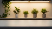 Modern office interior with green plants in pots on shelf under LED lighting creating productive workspace atmosphere for business and corporate environments.