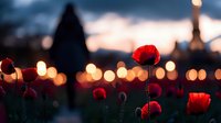 Red poppies in evening light with blurred city bokeh background creating magical atmosphere at sunset, soft focus flowers against glowing urban lights.