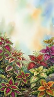 Colorful foliage plants with vibrant pink, red, and yellow leaves in garden setting with soft watercolor sky background, suitable for botanical and nature designs.