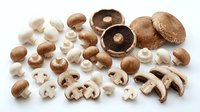 Assorted fresh and sliced mushrooms including button, cremini, and portobello varieties displayed on white background for culinary and cooking use.